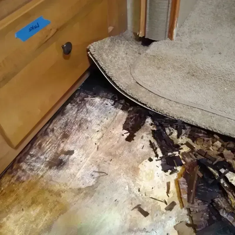 Wood Floor Water Damage in Five Corners, WA